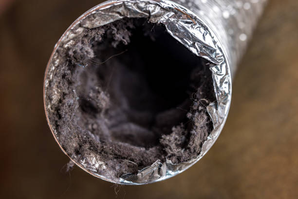 Professional Airduct Cleaning in Harlem Heights, FL