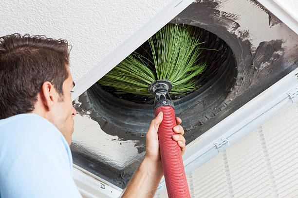 Best Air Duct Cleaning Near Me  in Harlem Heights, FL