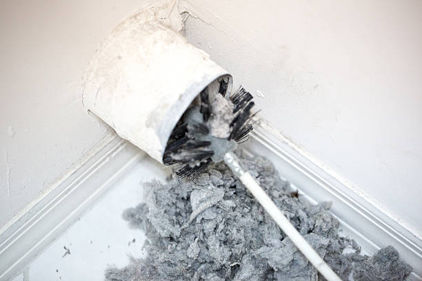 Best Best Air Duct Cleaning Company  in Harlem Heights, FL